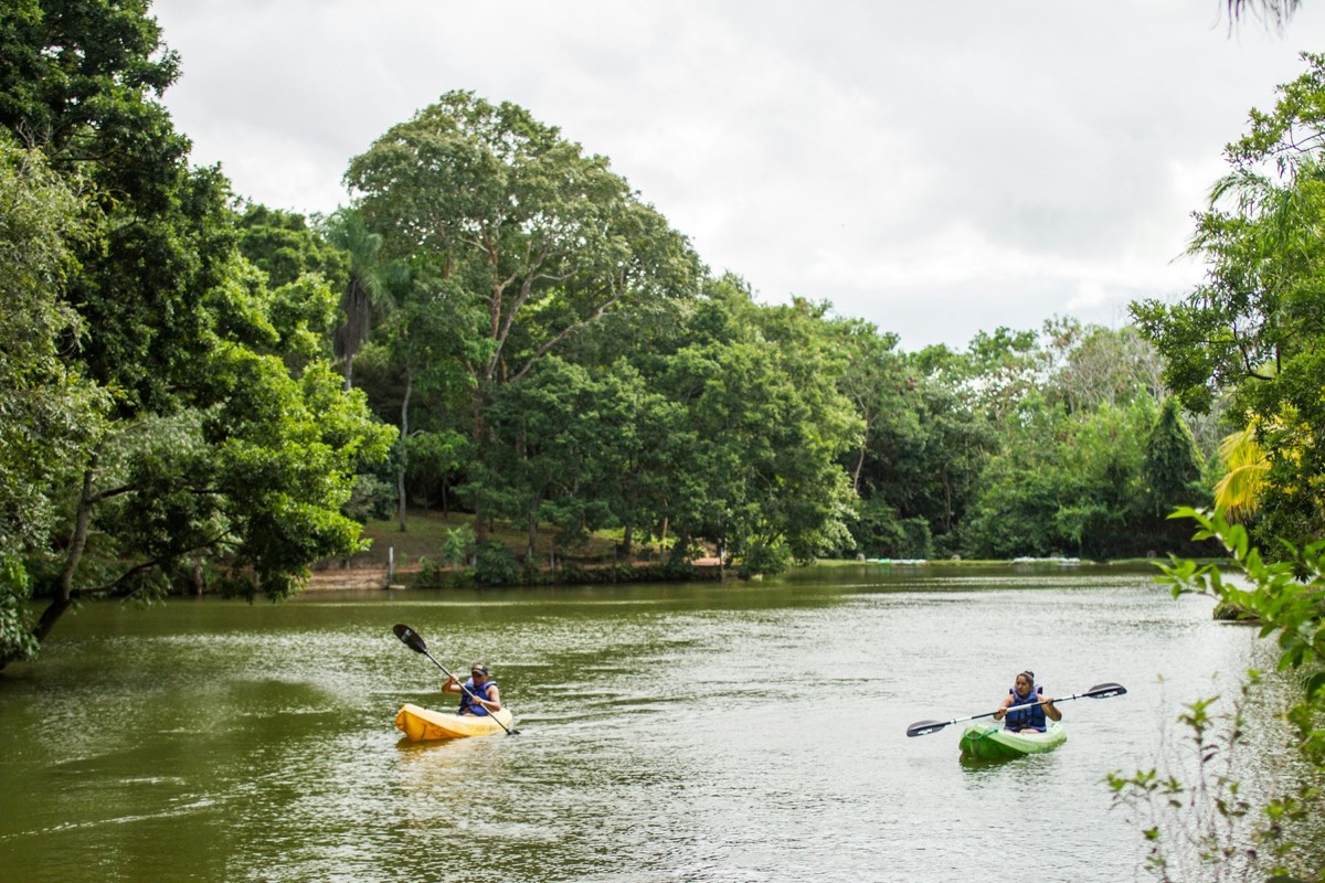 Rent a kayak in Naples at Cocohatchee River Park
